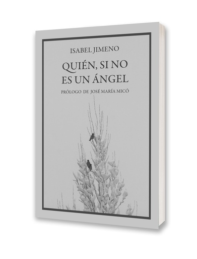 [978-84-129622-6-0] Quién, si no es un ángel